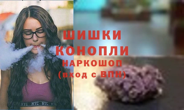 молекула духа Балахна
