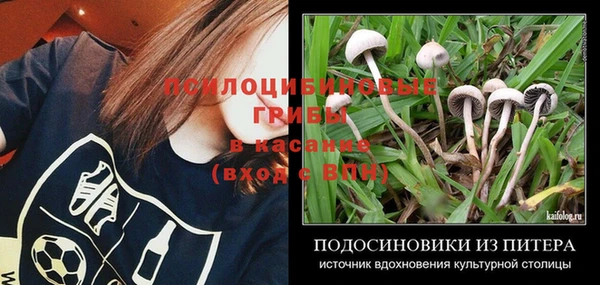 молекула духа Балахна