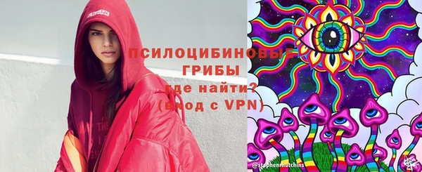 молекула духа Балахна