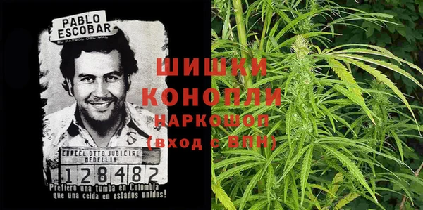 молекула духа Балахна