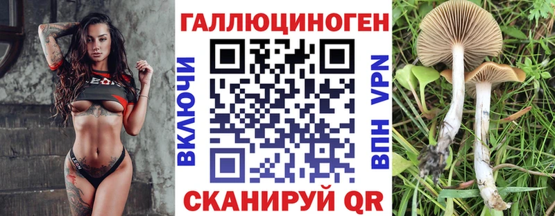 Галлюциногенные грибы Cubensis  Пугачёв 