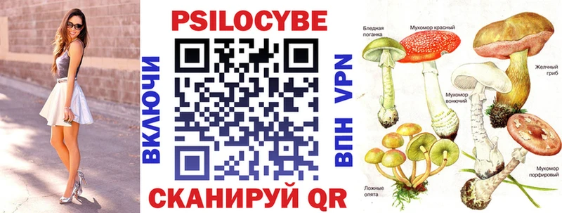 Галлюциногенные грибы мицелий Пугачёв